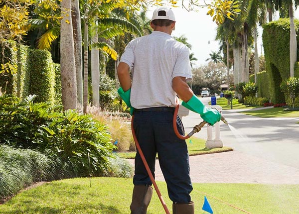 About Chestnut Mound TN Pest Control Pros